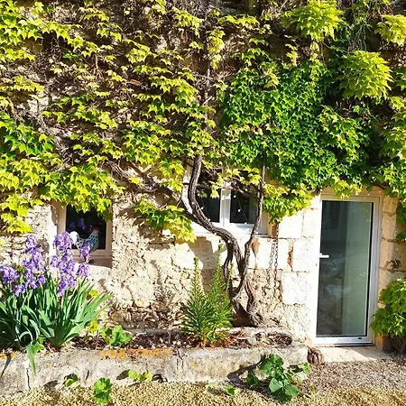 Les Iris - Chene - Petit Dejeuner 3*