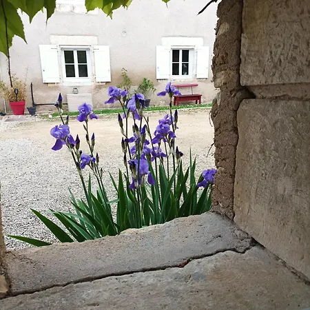 B&B Les Iris - Chene