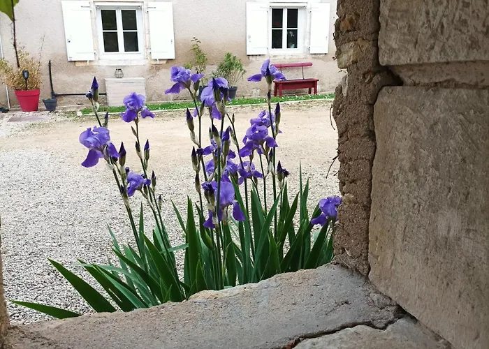 Bed & Breakfast Les Iris - Chene - Petit Dejeuner