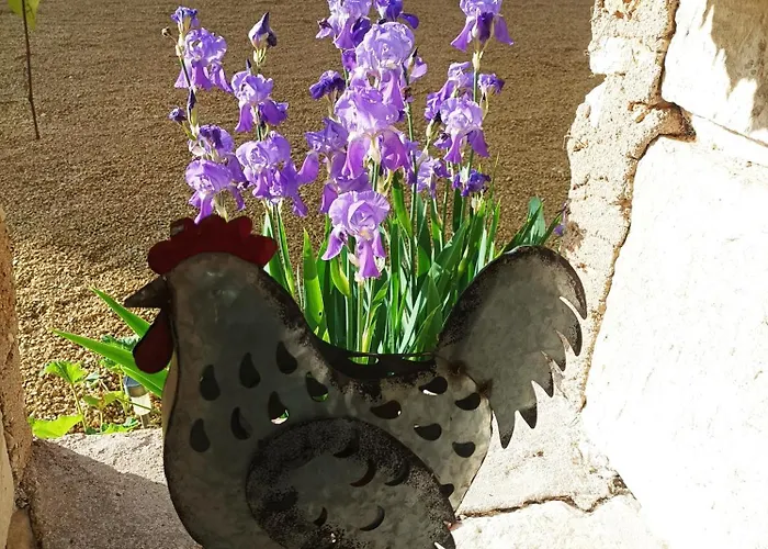 Les Iris - Chene - Petit Dejeuner Avanton